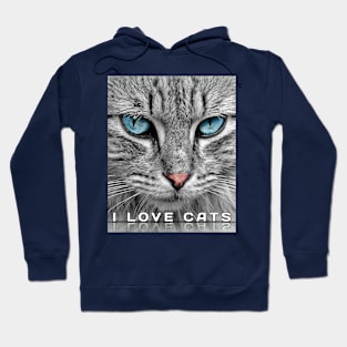 I love cats Hoodie